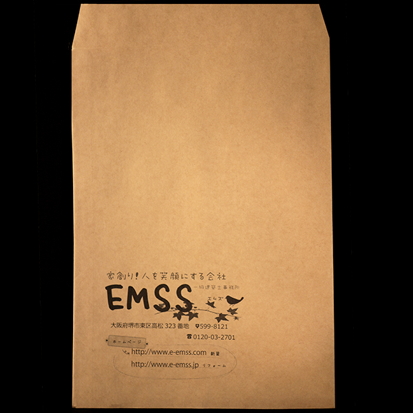 EMSS_01