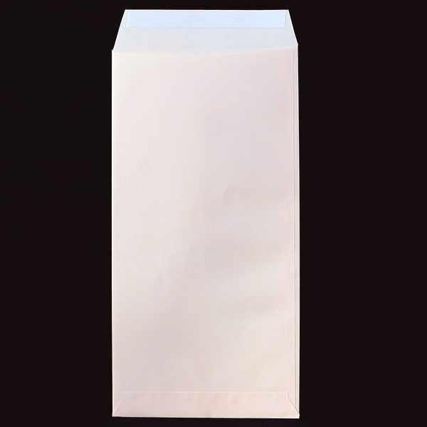 彦根市健民少年団02