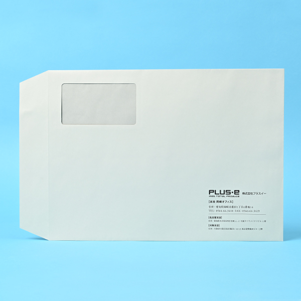 プラスイー様02