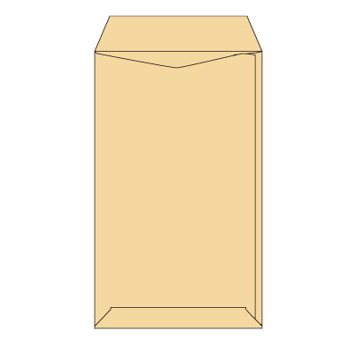 給料袋 クラフト 100L
幅 x 天地：119 x 197mm
米坪：100g/m2