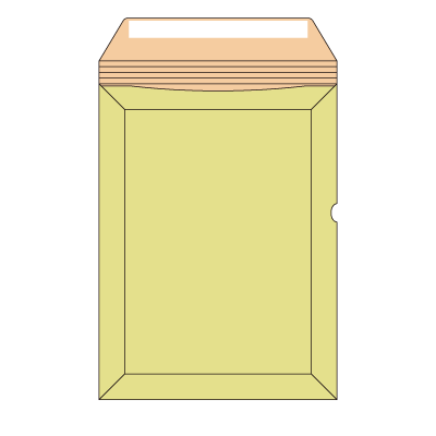 キャッスル封筒 A-4(穴あり)テープ付き
幅 x 天地：250 x 332mm
米坪：350g/m2