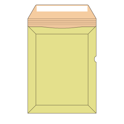 キャッスル封筒 B-5(穴あり)テープ付き
幅 x 天地：227 x 290mm
米坪：350g/m2