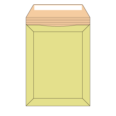 キャッスル封筒 B-5(穴なし)テープ付き
幅 x 天地：227 x 290mm
米坪：350g/m2