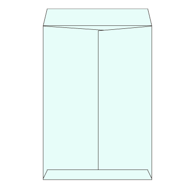 角1 カラーミズ 100