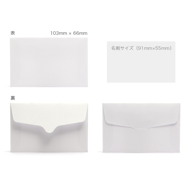 白菊 9号(〒枠なし) 103×66